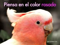 Piensa_en_el_color_rosado